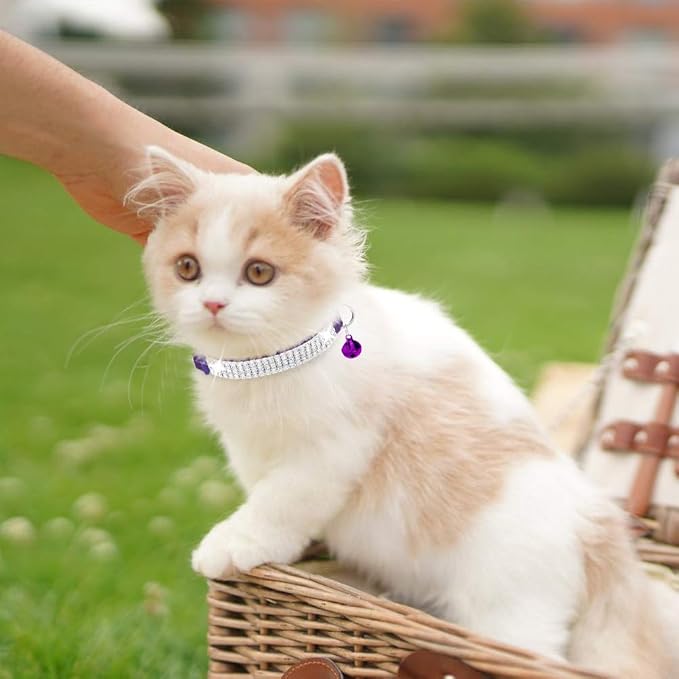 EXPAWLORER Soft Velvet Safe Cat Collars - Image 8