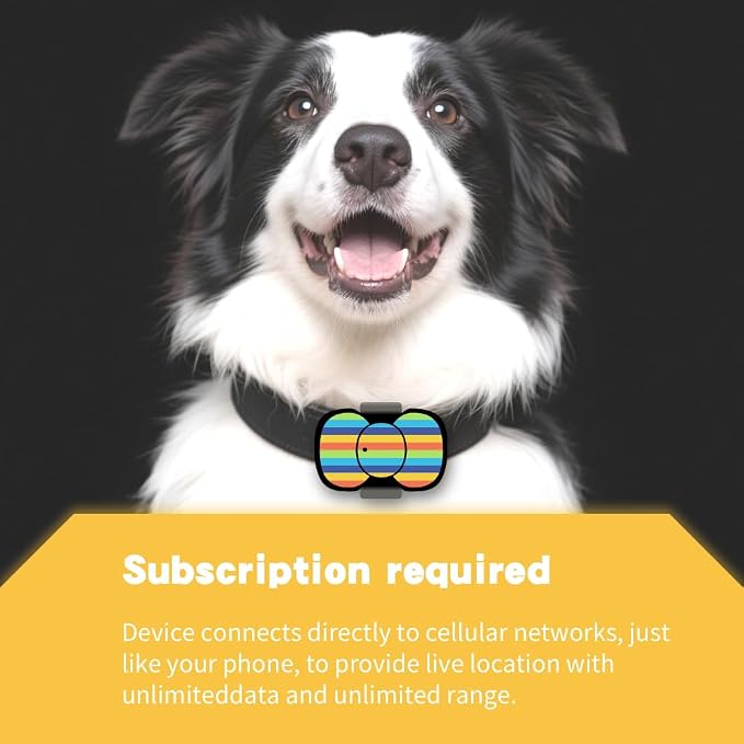 4G Smart GPS Dog Tracker with Real-Time Location, Virtual Fence & Activity - Image 8