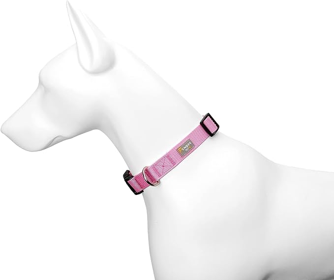Pink Dog Collar Basic Adjustable Dog Collars - Image 4
