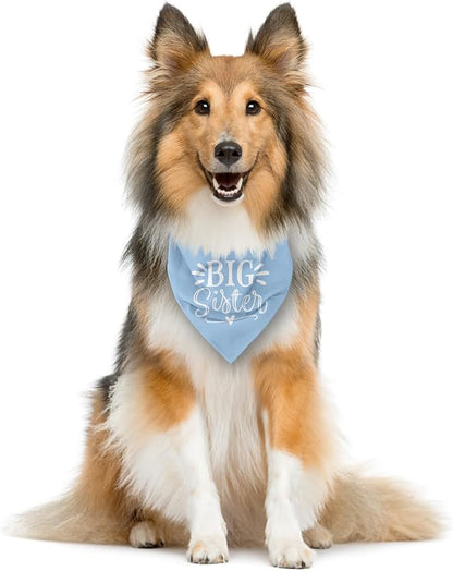 Big Sister Dog Bandana, Light Blue Pet Scarf Accessories, Pet Triangle Scarf - Image 3