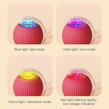 Interactive Cat Toy, Electric Dog BallToy, Cat Toys - Image 2