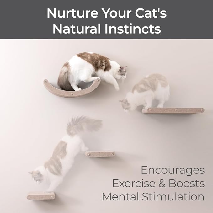Wall Mounted Cat Shelves by Pryde Pets - Image 5