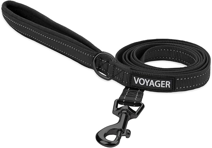 Best Pet Supplies Voyager Reflective Dog Leash or Collar by BestPetSuppliesLLC