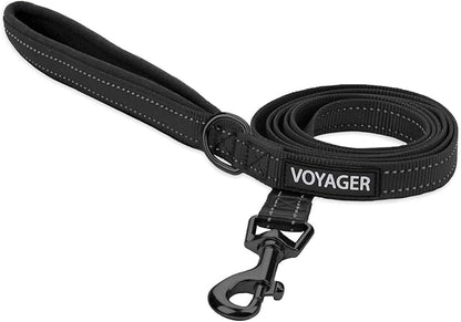 Best Pet Supplies Voyager Reflective Dog Leash or Collar by BestPetSuppliesLLC