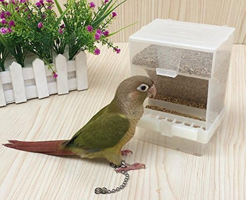 Hypeety Automatic Bird Feeder No Mess Pet Feeder Seed Food Container Perch Cage - Image 7