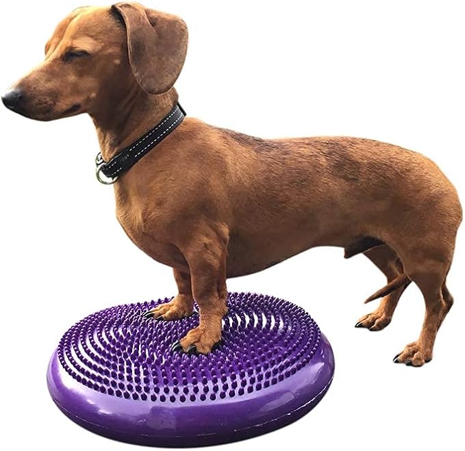 Dog Balance Disc Cushion 14" - Image 4