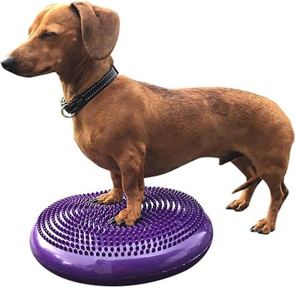 Dog Balance Disc Cushion 14" - Image 4