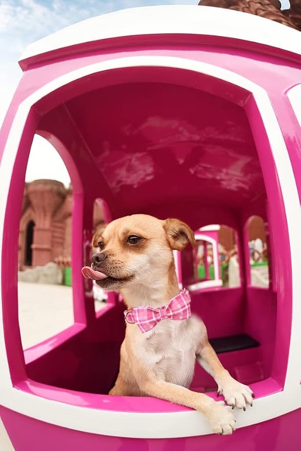 Lionheart glory Pink Plaid Dog Collar, Adjustable Dog Collar - Image 6