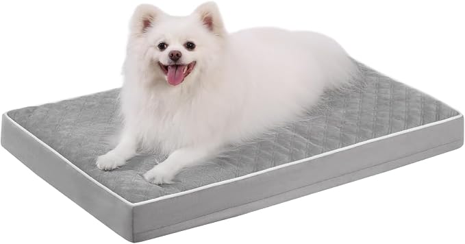 KSIIA Orthopedic Dog Bed Medium Size Dog by KSIIAPetProducts