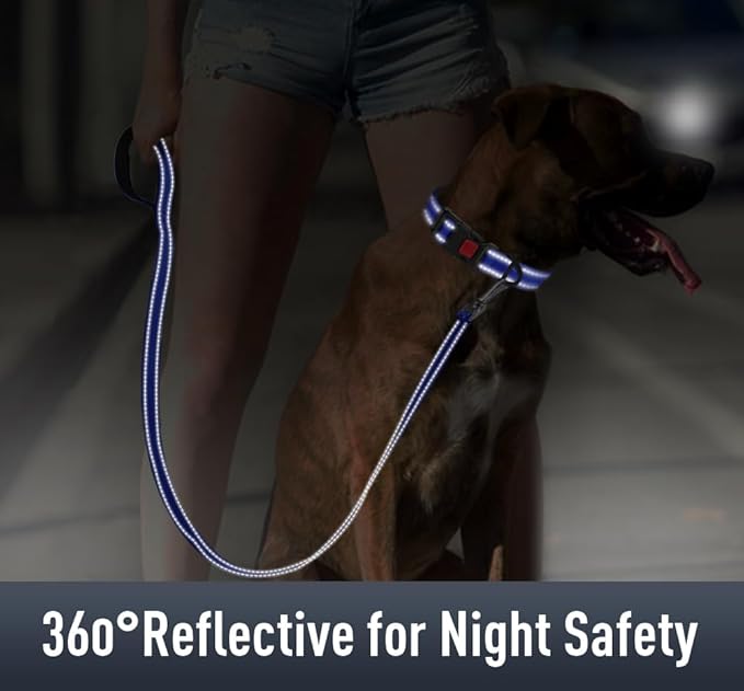 Airtag Dog Collar with AirTag Holder - Image 4