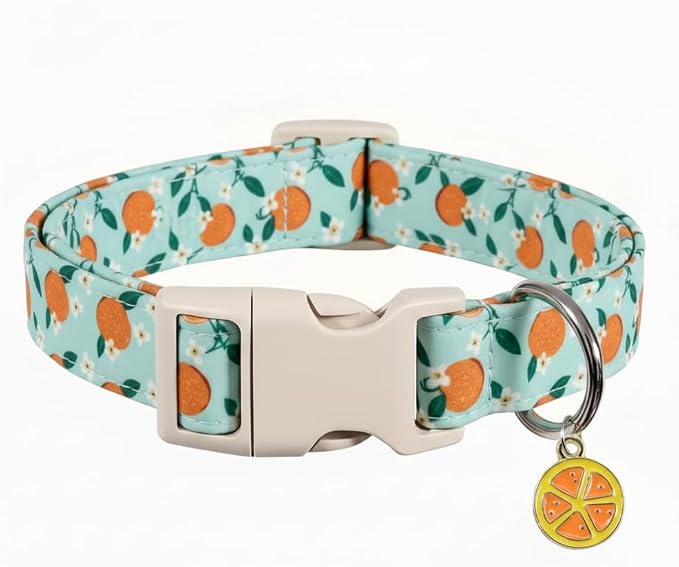 Dog Collar, Spring Summer Dog Collar by Britwicfr
