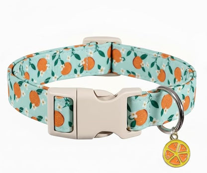 Dog Collar, Spring Summer Dog Collar by Britwicfr