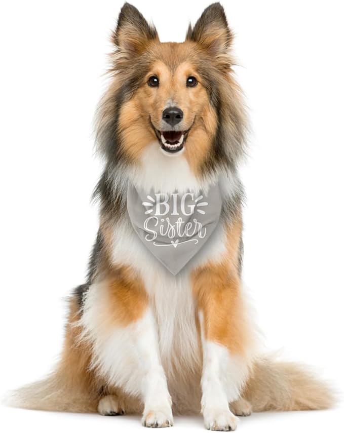 Big Sister Dog Bandanas, Light Gray Dog Bandana, Pet Triangle Scarf Accessories - Image 4