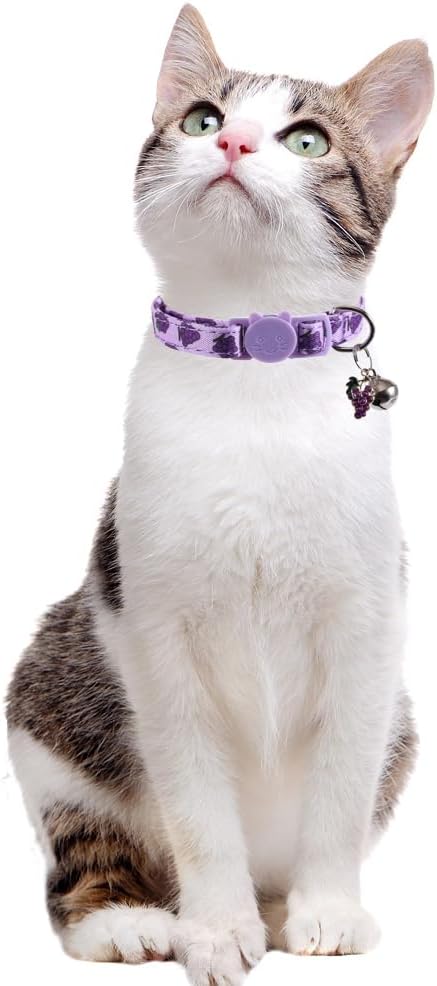 3 Pack Cat Collar Fruits with Bell Pendant Breakaway Adjustable Accessory - Image 5