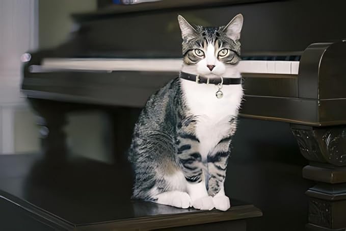 Dark Blue Puppy Collar with Bell, Soft Pu Leather Cat Collars Adjustable Buckle - Image 3
