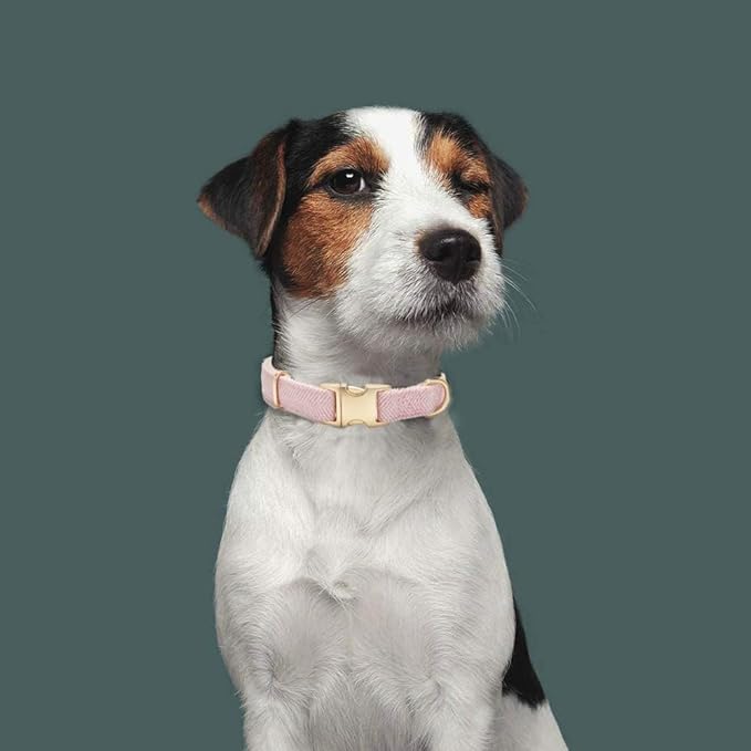 Soft Cotton Hemp Dog Collar - Image 4
