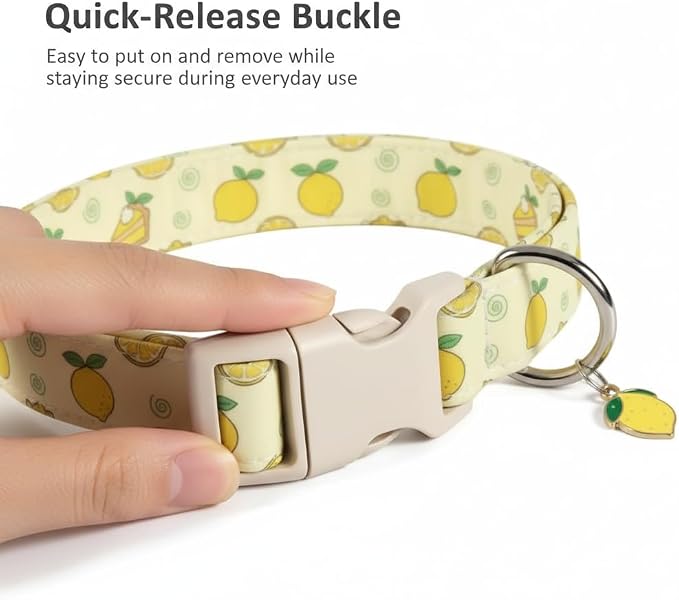Dog Collar, Spring Summer Dog Collar - Image 3