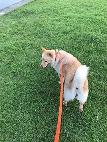 AMAGOOD Dog Leashes for Large, Medium & Small Dogs, 20 ft Long Dog Leash-for - Image 4