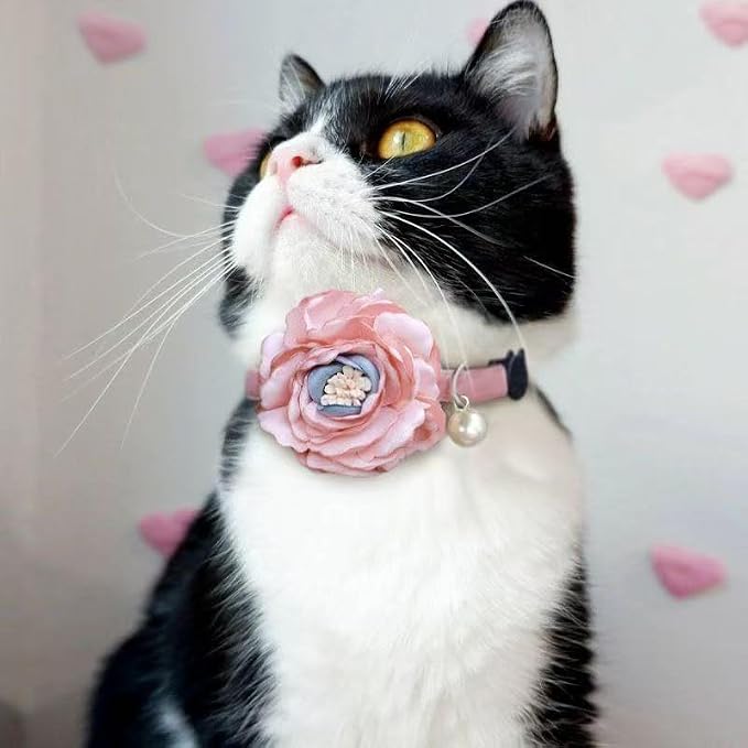 Fupo Cat Collar - Image 4