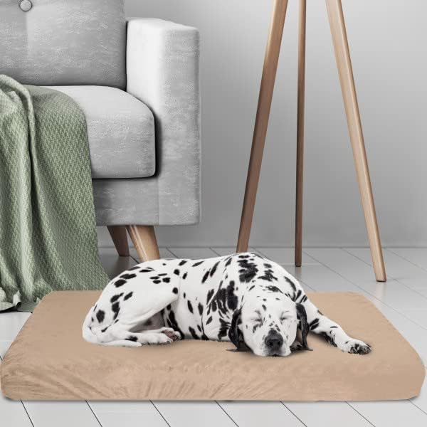 Memory Foam Dog Bed - Image 3