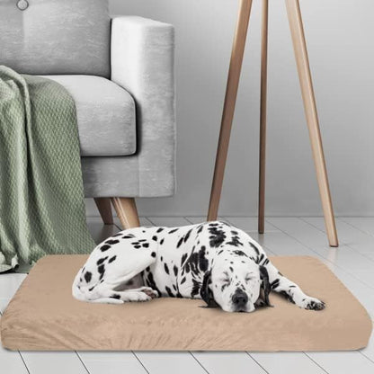 Memory Foam Dog Bed - Image 3