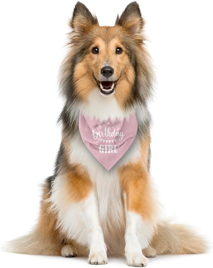 Birthday Girl Dog Bandana - Image 3