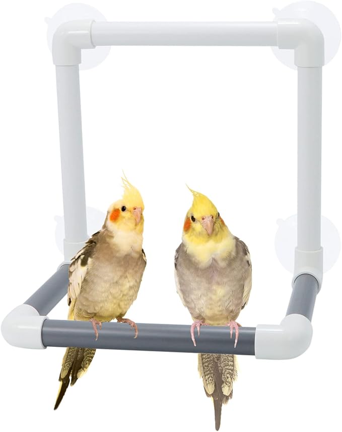 Bird Portable Suction Cup Shower Perch Parrot Window Wall Standing Platform by Wontee