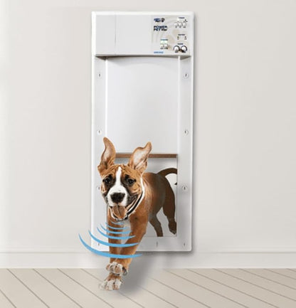 MS-5 ECON Automatic Pet Door Collar, Genuine High Tech Pet Brand Dog Collar - Image 3