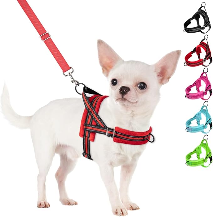 SlowTon No Pull Small Dog Harness and Leash Set, Puppy Soft Vest Harness Neck & by SlowTon
