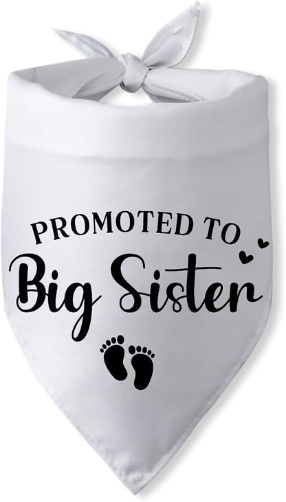 Promoted to Big Sister Pregnancy Announcement Dog Bandana Baby Gender Reveal by PwrlveiutforYou