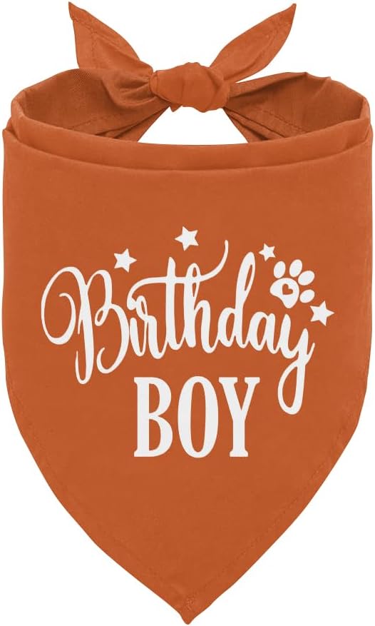 Birthday Boy Dog Bandanas by corner+wind