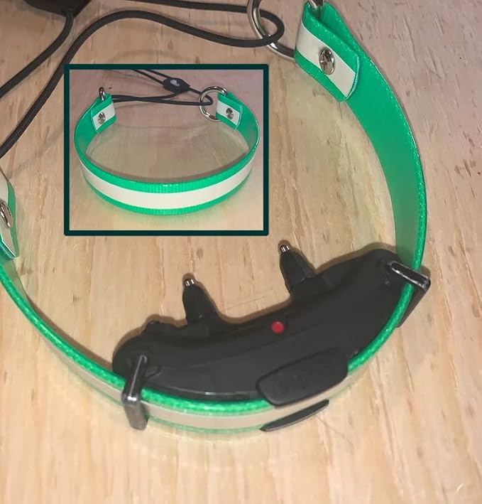 Sparky Pet Co - Surefit ECollar Replacement Strap - Bungee Dog Collar - Image 4
