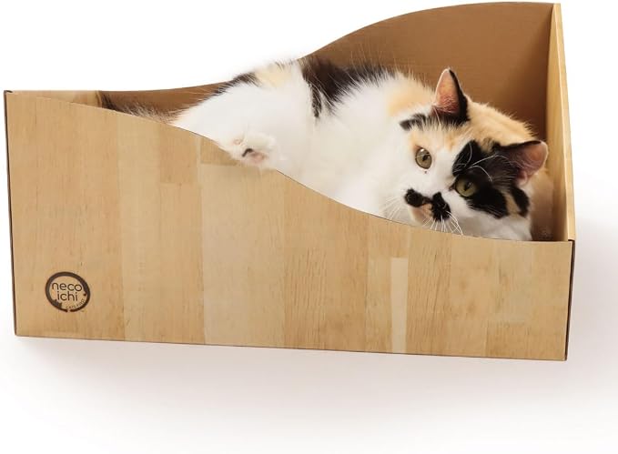 Hideaway Cat Scratcher Box for Indoor Cats by %E7%8C%AB%E5%A3%B1