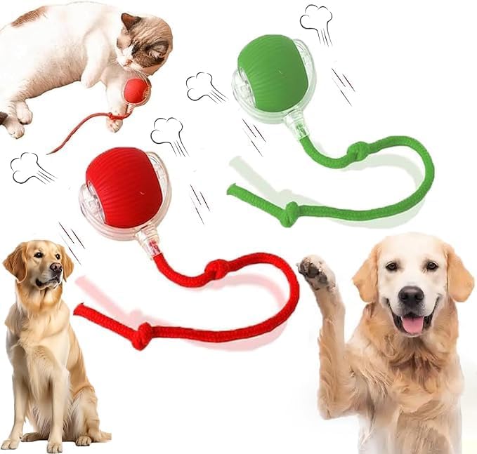 2 Packs New Electric Dog Ball Toy by AUTRETY
