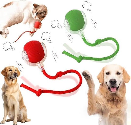 2 Packs New Electric Dog Ball Toy by AUTRETY