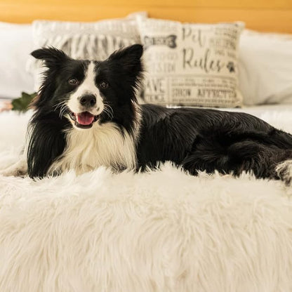 PupProtector Waterproof Throw Blanket - Image 8
