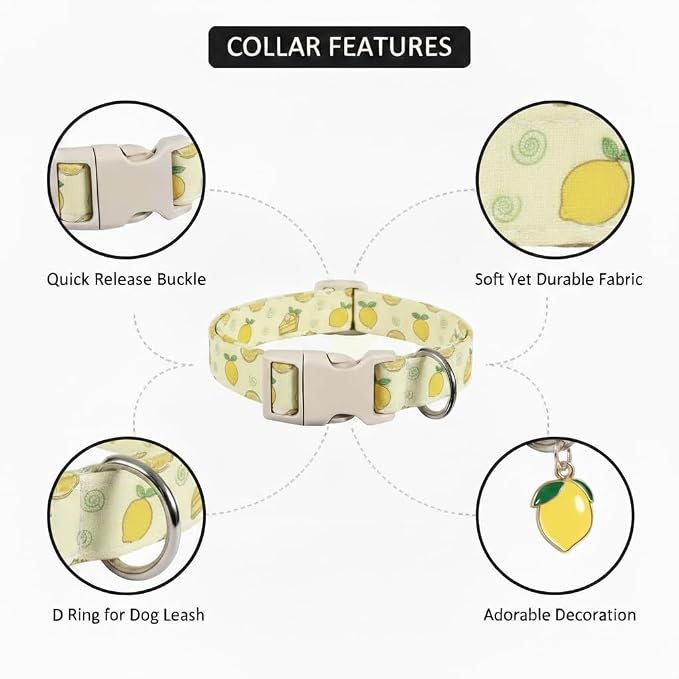 Dog Collar, Spring Summer Dog Collar - Image 2