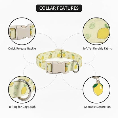 Dog Collar, Spring Summer Dog Collar - Image 2