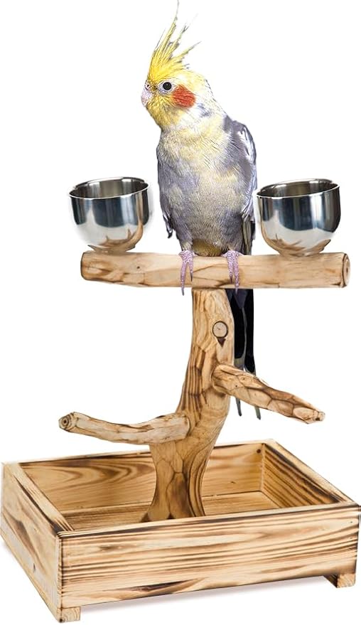 PENN-PLAX Bird-Life Natural Wood Tree Perch - Image 7