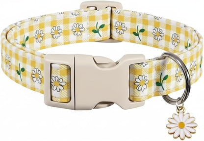 Cute Dog Collar, Spring Summer Design Floral Collar by Britwicfr