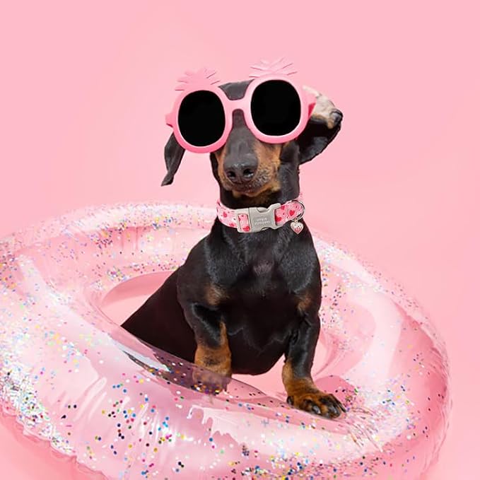 Unique style paws Valentine's Day Dog Collar Plastic Buckle Collar - Image 4