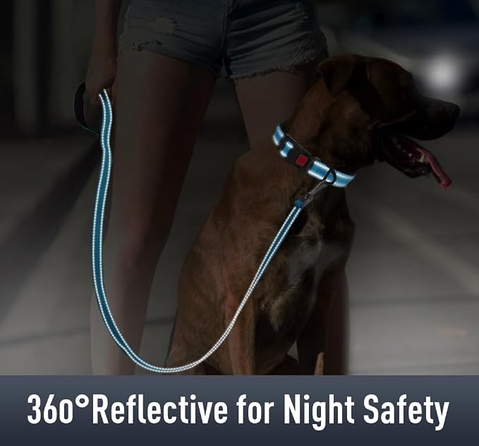 Airtag Dog Collar with AirTag Holder - Image 4