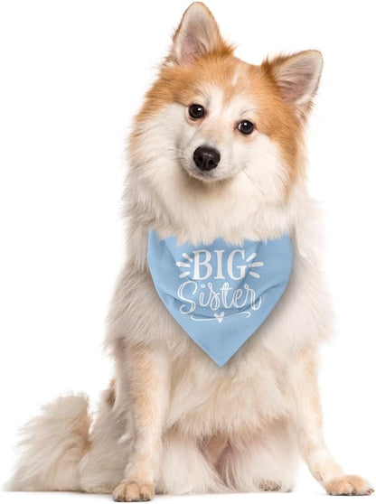Big Sister Dog Bandana, Light Blue Pet Scarf Accessories, Pet Triangle Scarf - Image 2