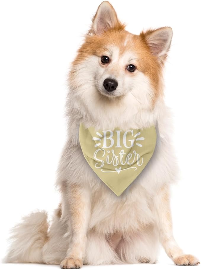 Big Sister Dog Bandanas, Light Yellow Dog Bandana, Pet Scarf Triangle - Image 2