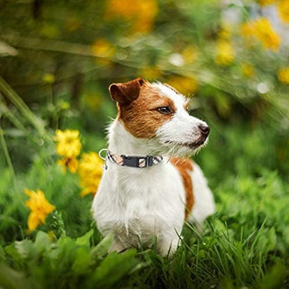 PUPTECK Adjustable Dog Harness Collar and Leash Set Step in No Pull Pet Harness - Image 7