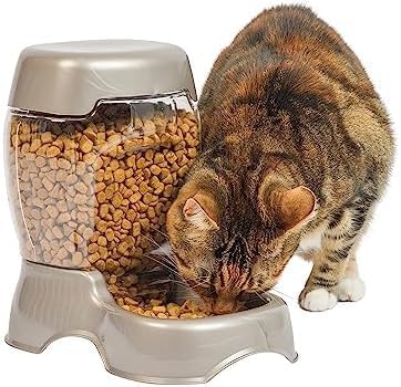 Petmate Pet Cafe Feeder Dog and Cat Feeder Pearlescent Colors 3 Sizes, Made in by Petmate