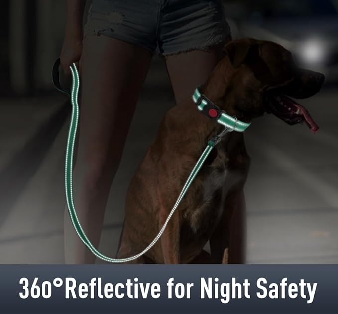 Airtag Dog Collar with AirTag Holder - Image 4