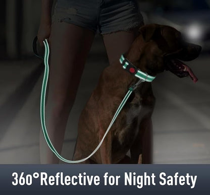 Airtag Dog Collar with AirTag Holder - Image 4