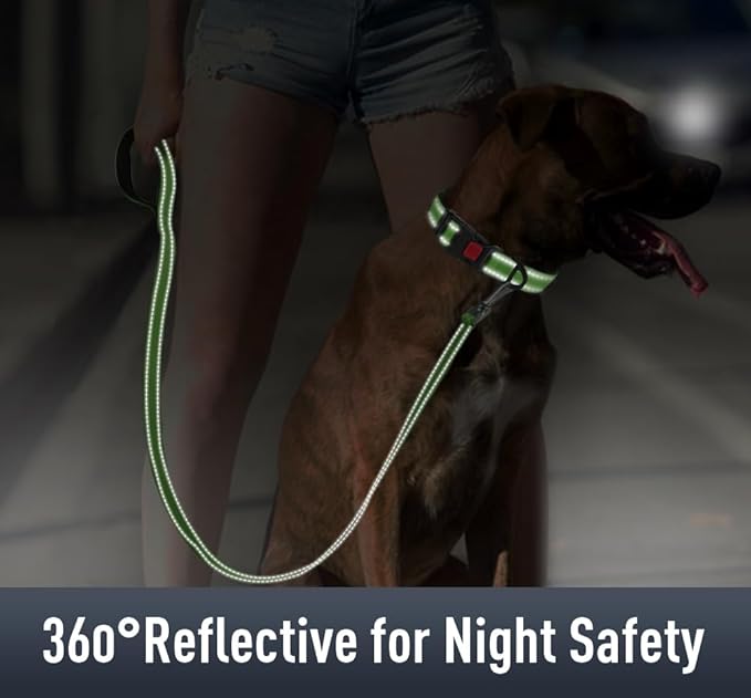 Airtag Dog Collar with AirTag Holder - Image 4