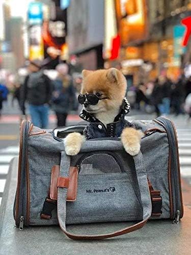 Mr. Peanut's Airline Approved Soft Sided Pet Carrier, Low Profile Gold Series - Image 5